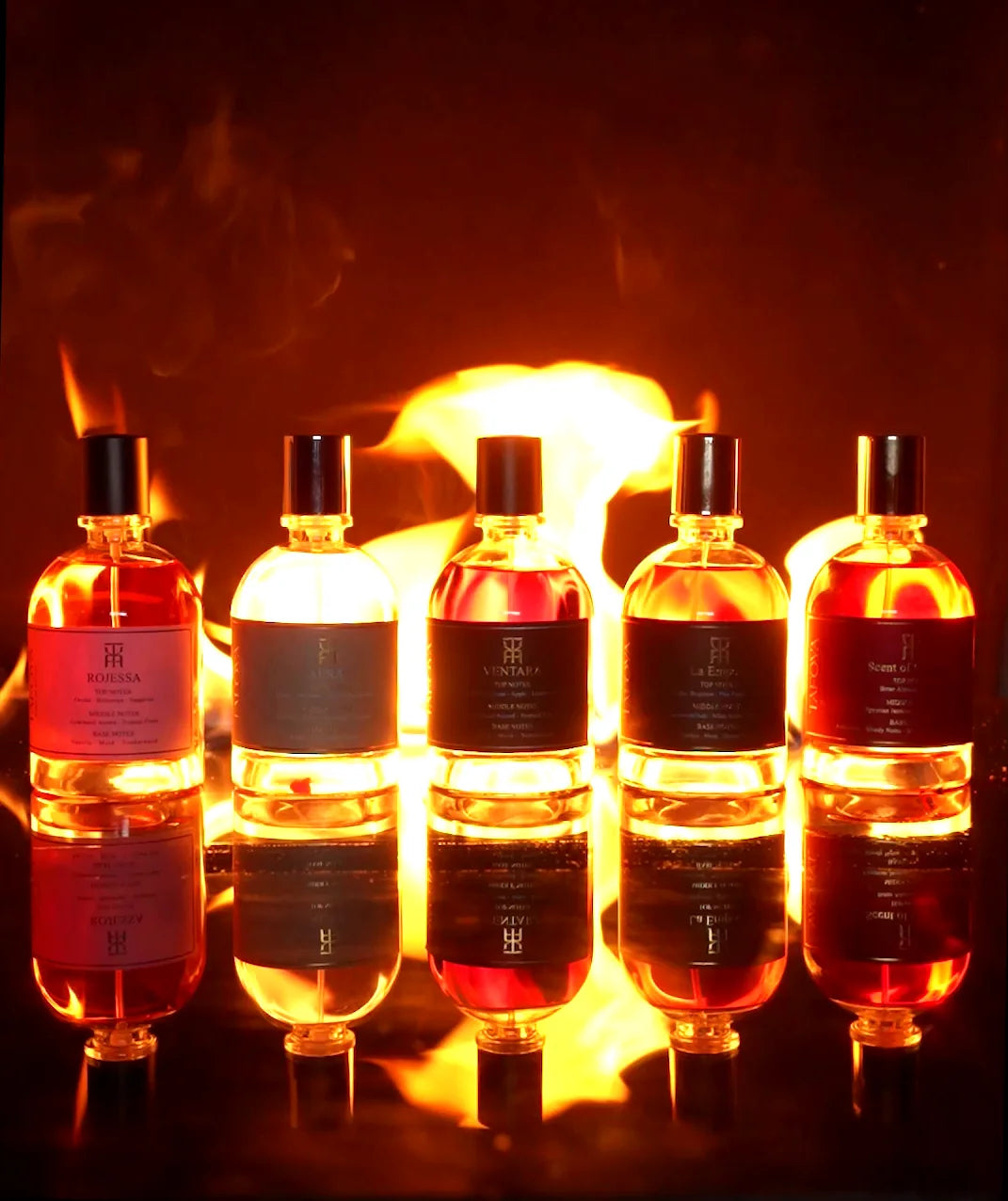 Rojessa, Aura, Ventara, La Empero and Scent of Gustavo lit by fire and reflected on black glass